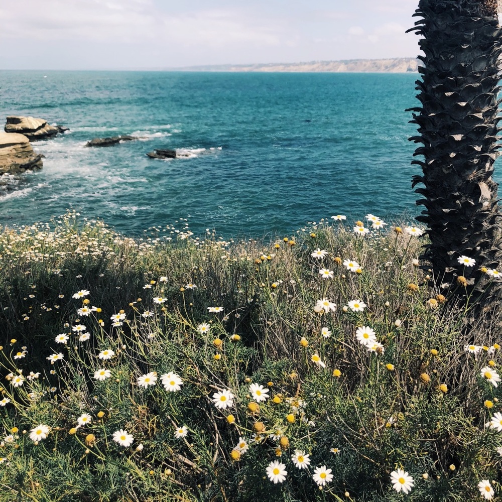 Meet your Posher, Mikaela